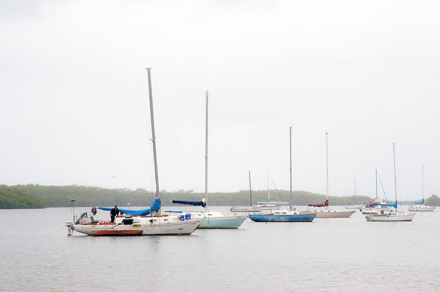 Sailboats Photograph - Misty Alafia Morning by Norman Johnson Sailboats Photograph - Misty Alafia Morning by Norman Johnson