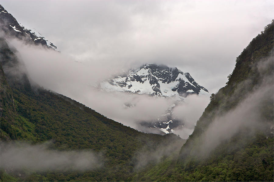 Misty Alps Photograph by Johan Elzenga