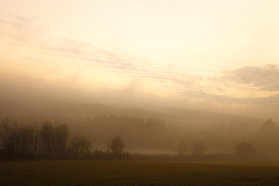 Misty autumn evening Photograph by Ulrich Kunst And Bettina Scheidulin