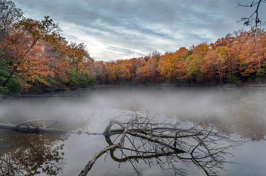 Misty Autumn Lake Photograph by Patrick Wolf