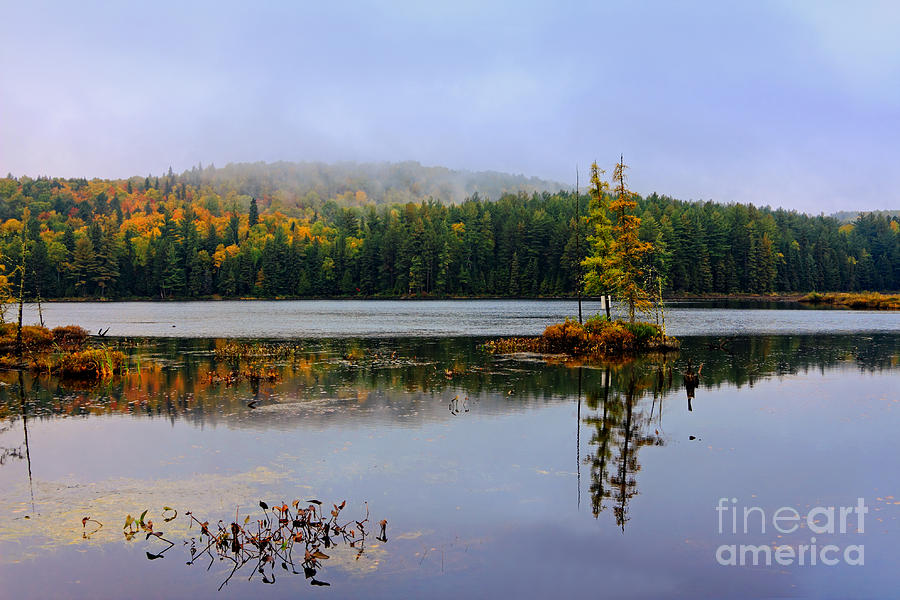 Misty Autumn Landscape in Canada Photograph by Charline Xia