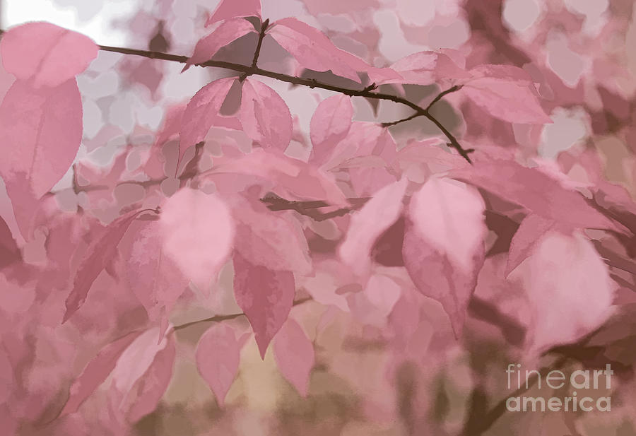 Misty Autumn Leaves Digital Art by Judy Palkimas