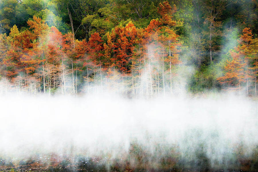 Misty Autumn Morning on Beavers Bend Photograph by Tamyra Ayles
