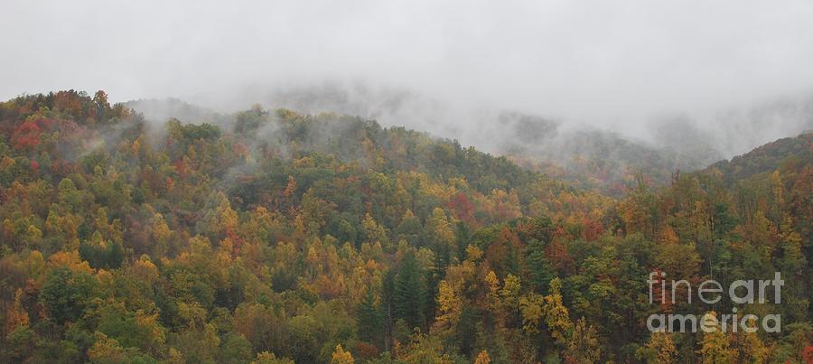 Misty Autumn Photograph by Randy Bodkins