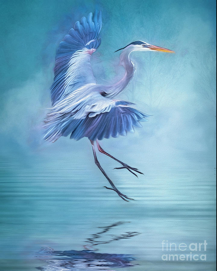 Heron Photograph - Misty Blue by Brian Tarr