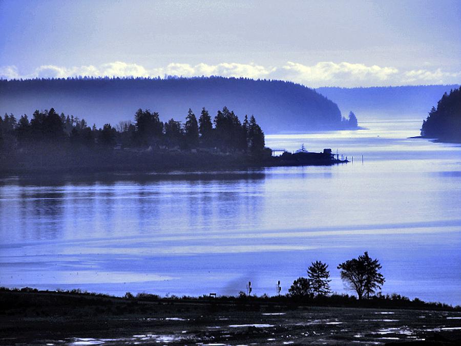 Misty Blue Steilacoom Photograph by Chris Anderson