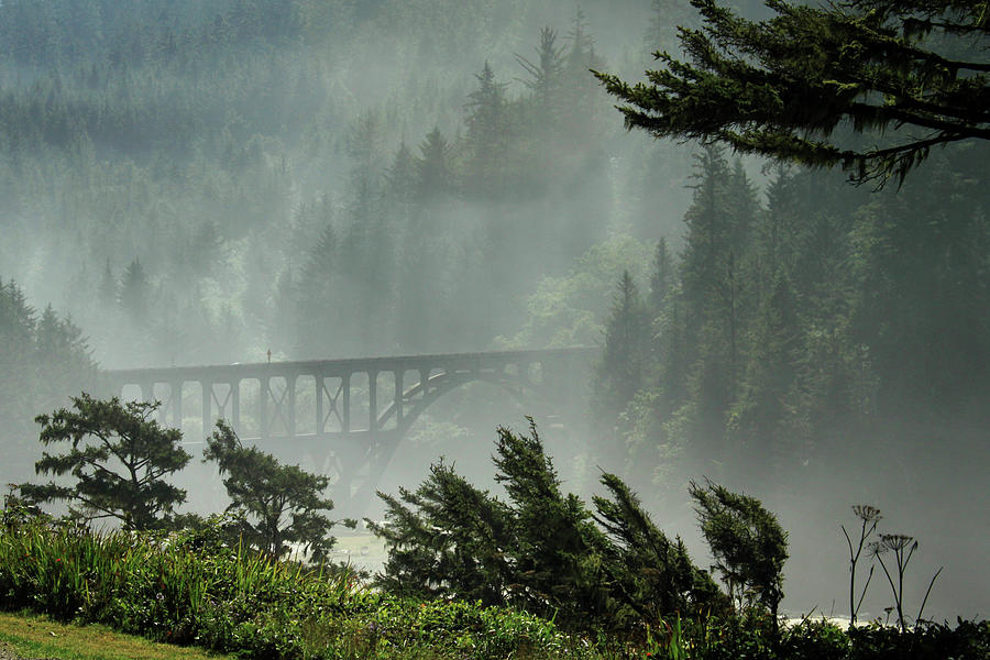 Misty Bridge at Heceta Head Photograph by James Eddy
