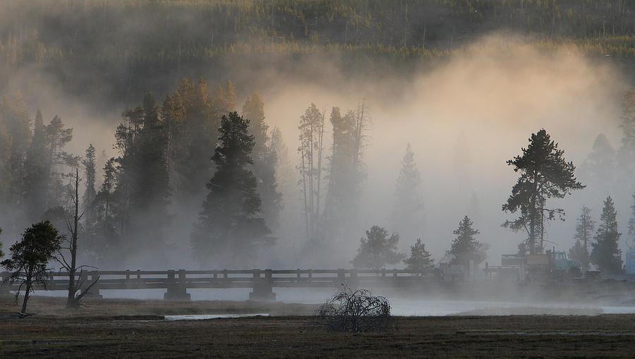 Misty Bridge Photograph by David Andersen