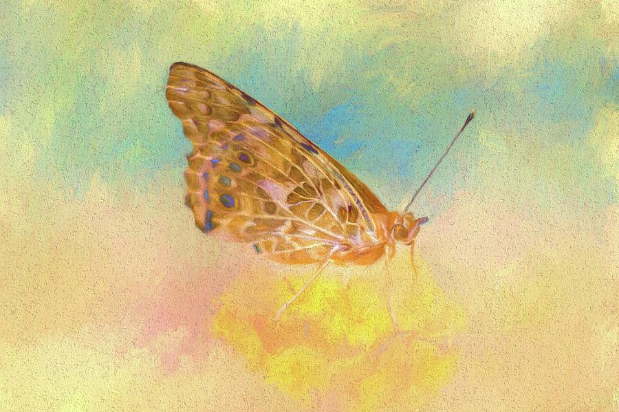 Misty Butterfly Painting by Ches Black