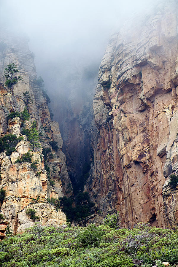 Misty Canyons Photograph by Phyllis Denton
