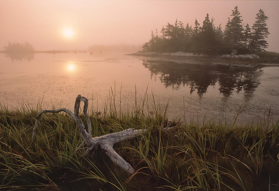 Misty Coastal Morning Photograph by Irwin Barrett