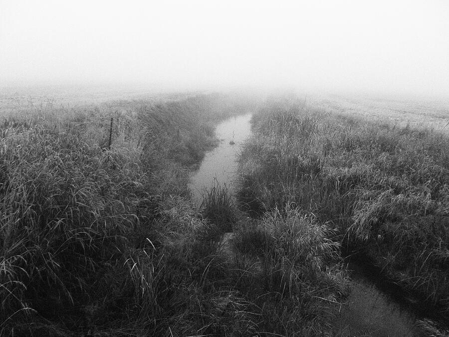Misty creek Photograph by Jean Evans