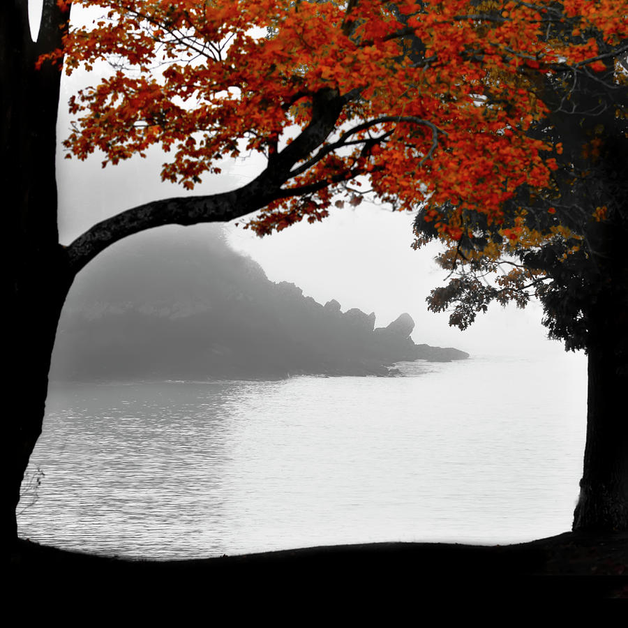 Misty Dawn Photograph by Jeff Cooper Misty Dawn Photograph by Jeff Cooper