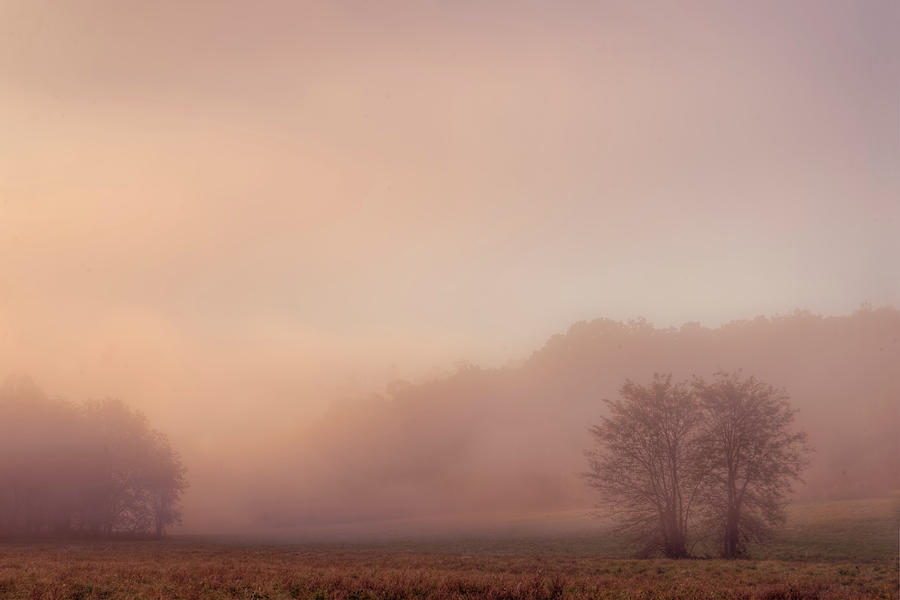 Misty Dawn Photograph by Robert Charity