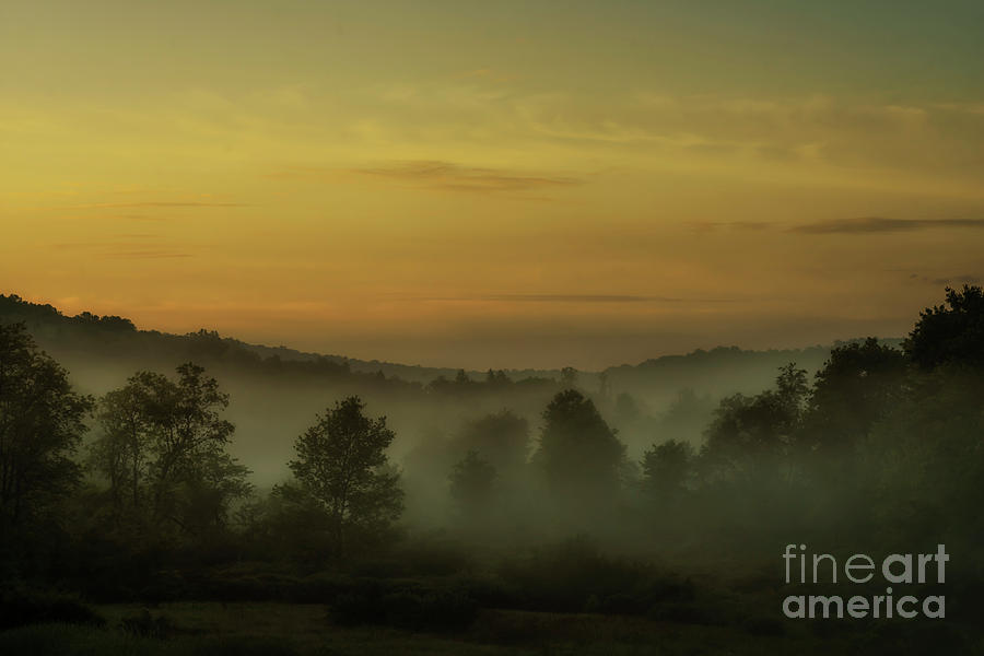 Spring Photograph - Misty Dawn by Thomas R Fletcher