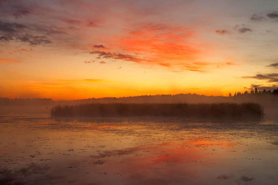 Misty Dawn#1 Photograph by Irwin Barrett