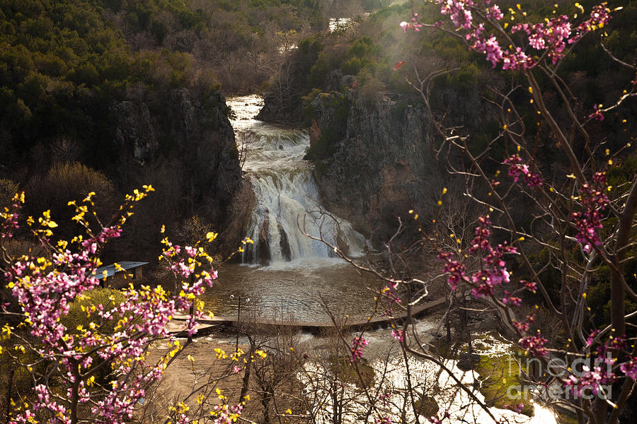 Misty Day in Turner Falls Photograph by Iris Greenwell