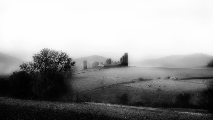 Misty Farm Photograph by Bill Wakeley
