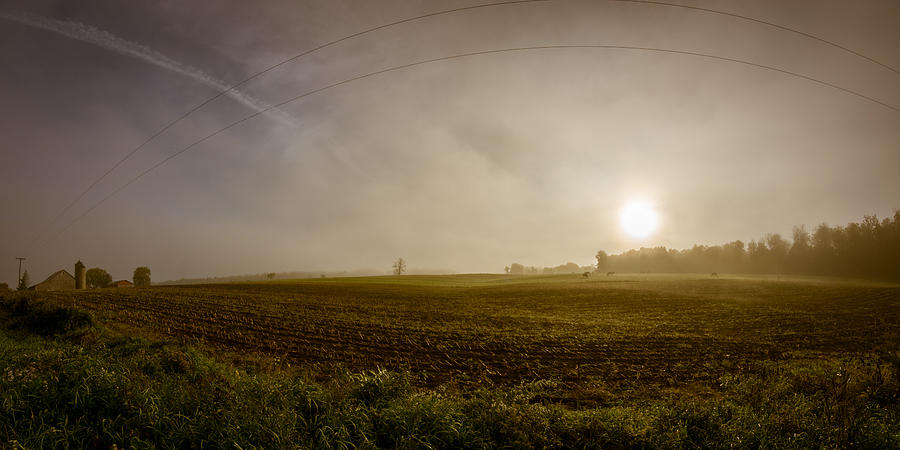 Nature Photograph - Misty Farm Sunrise by Chris Bordeleau