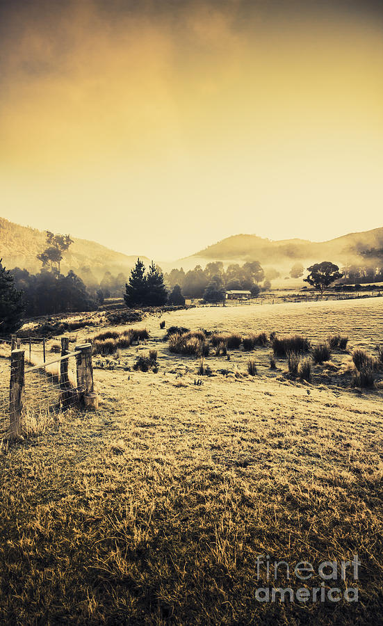 Misty farmyard in Tasmania Photograph by Jorgo Photography