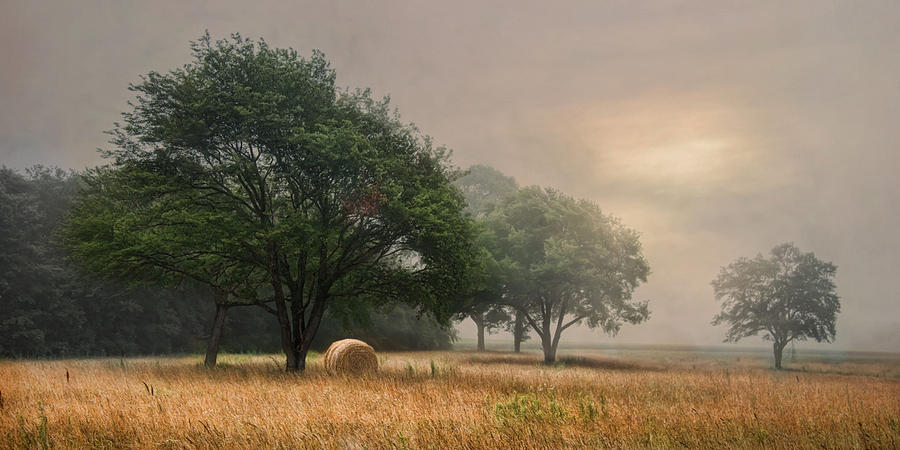 Misty Fields Photograph by Robin-Lee Vieira