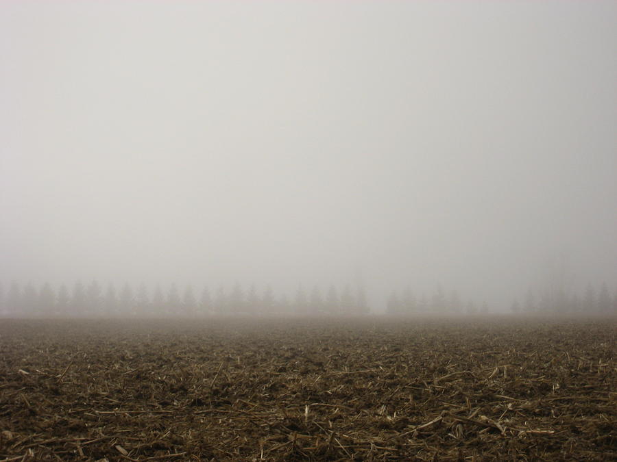 Spring Photograph - Misty Fields by Sheryl Burns