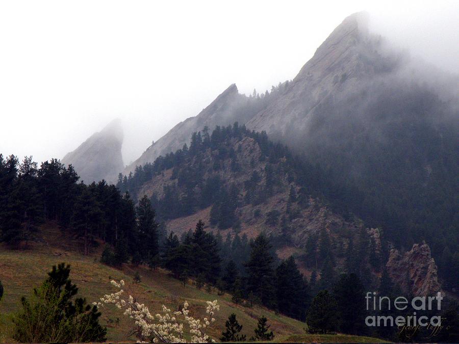 Misty Flatirons Photograph by George Tuffy