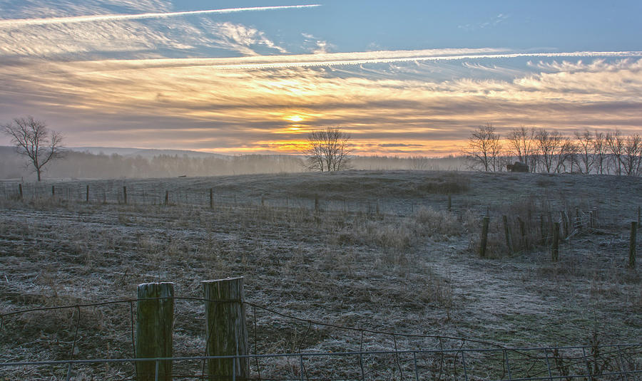 Misty Frost Skies At Roes Orchards Photograph by Angelo Marcialis