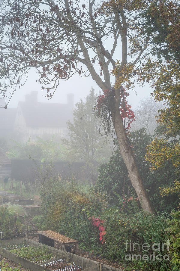  Misty Garden, Great Dixter 2 Photograph by Perry Rodriguez