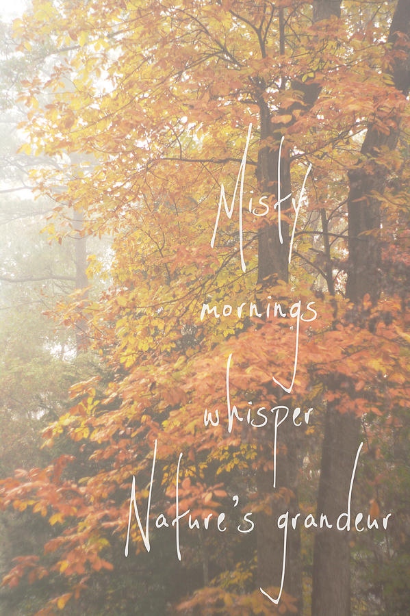 Misty Photograph - Misty Grandeur Forest Fall Quote by Suzanne Powers