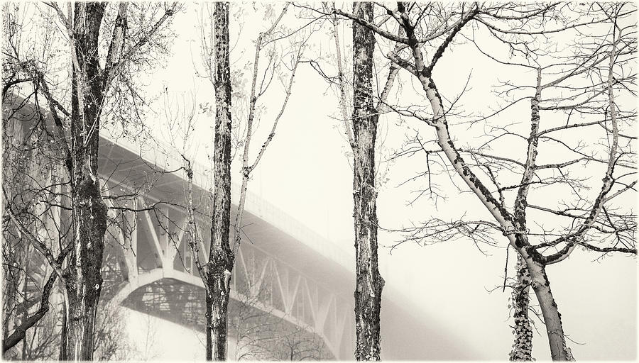 Misty Granville Bridge with Tree Trunks Photograph by Peter V Quenter