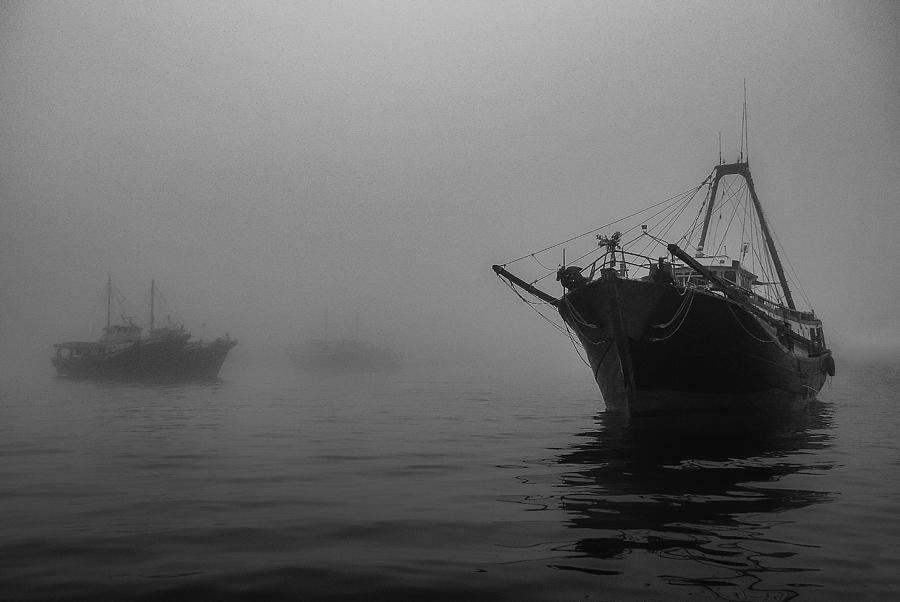 Misty Harbor by Brad Koop Misty Harbor by Brad Koop