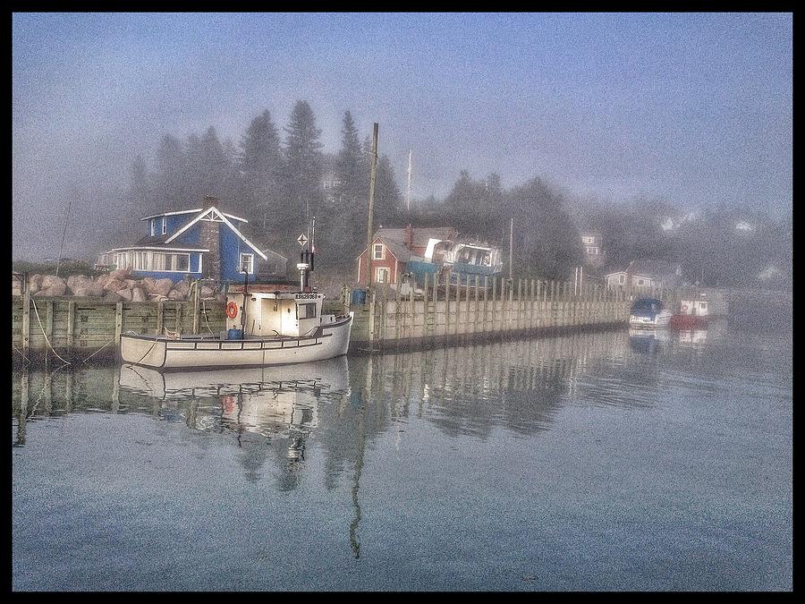 Misty harbour morning Photograph by David Matthews