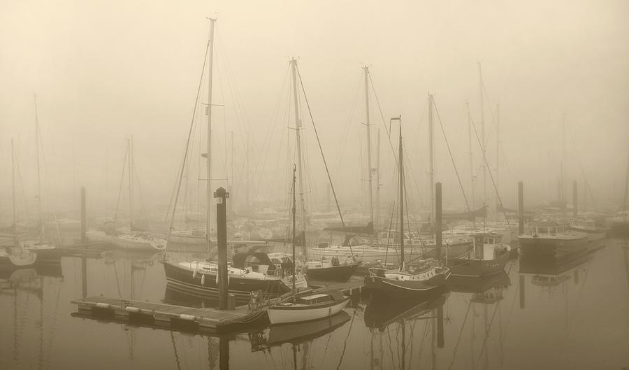 Misty Harbour Photograph by Terence Davis