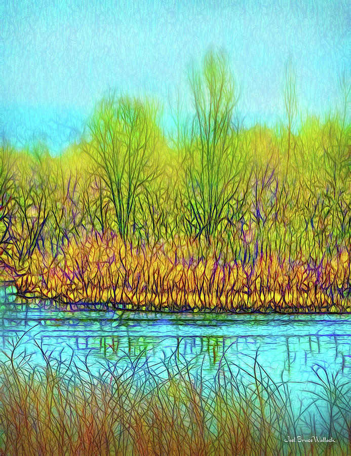 Misty Lake Dream Digital Art by Joel Bruce Wallach