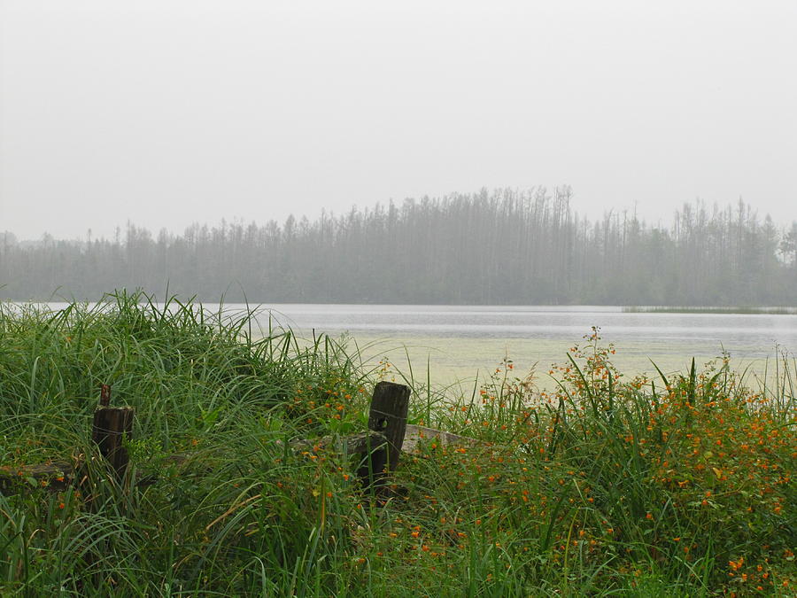 Misty Lake Photograph by Marilyn Smith
