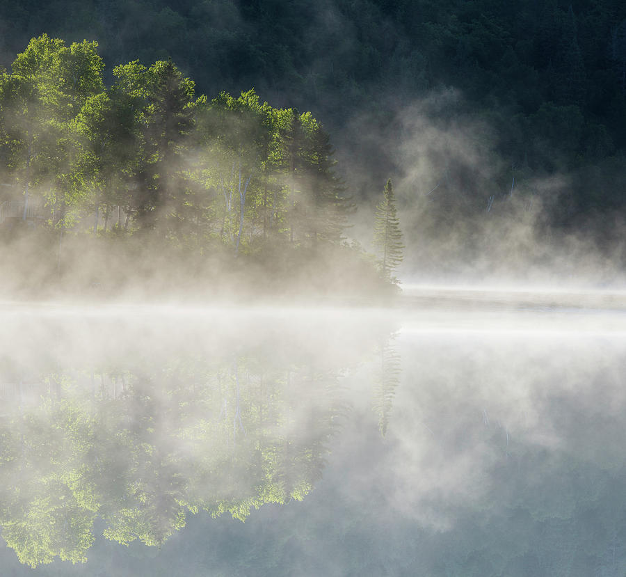 Summer Photograph - Misty Lake Sunrise by Mircea Costina Photography