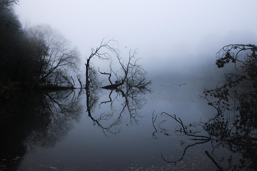 Misty Lakeside Photograph by John Orange - Fine Art America