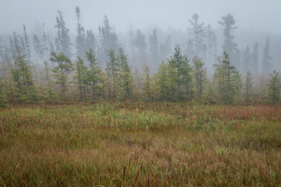 Misty Landscape Photograph by Patti Deters