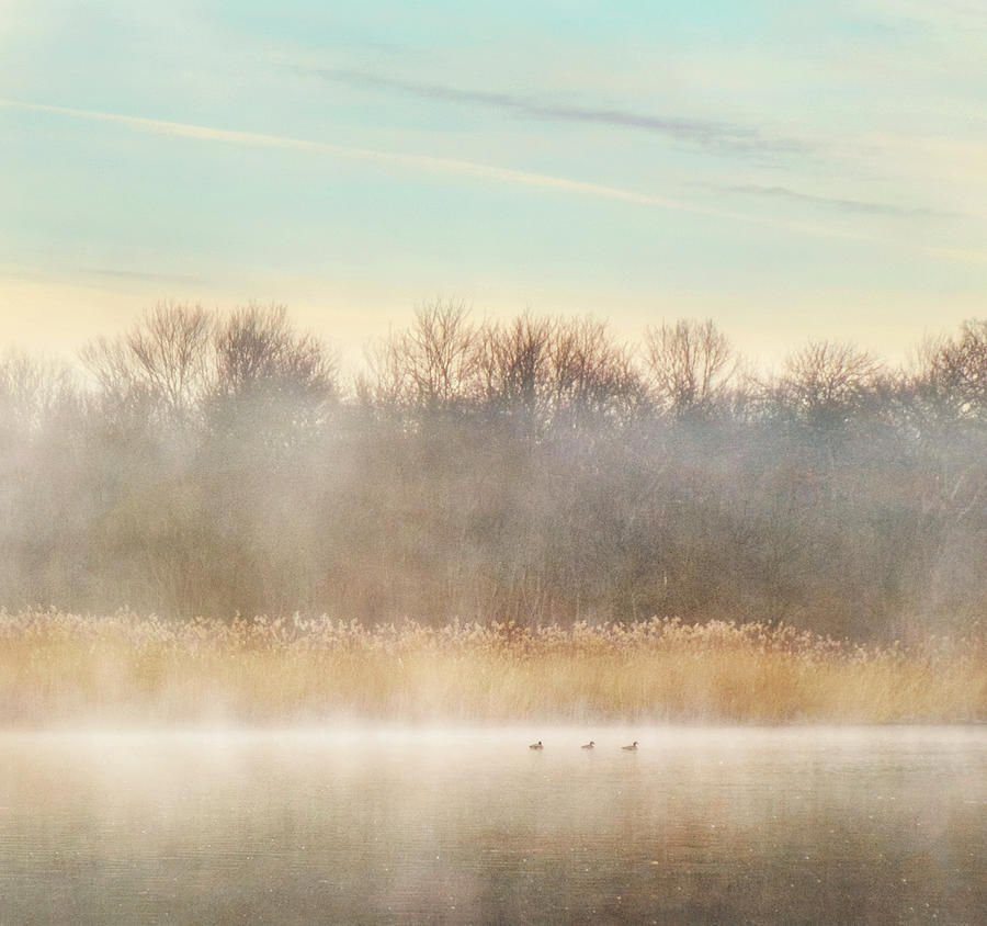 Misty Photograph - Misty Layers Lake by Vicki Jauron Misty Photograph - Misty Layers Lake by Vicki Jauron