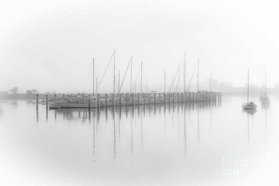 Misty maritime reflections Photograph by Howard Ferrier