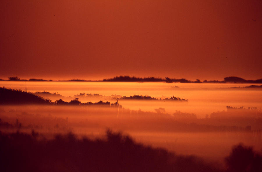 Misty Meadow at Sunrise Photograph by Steven Huszar