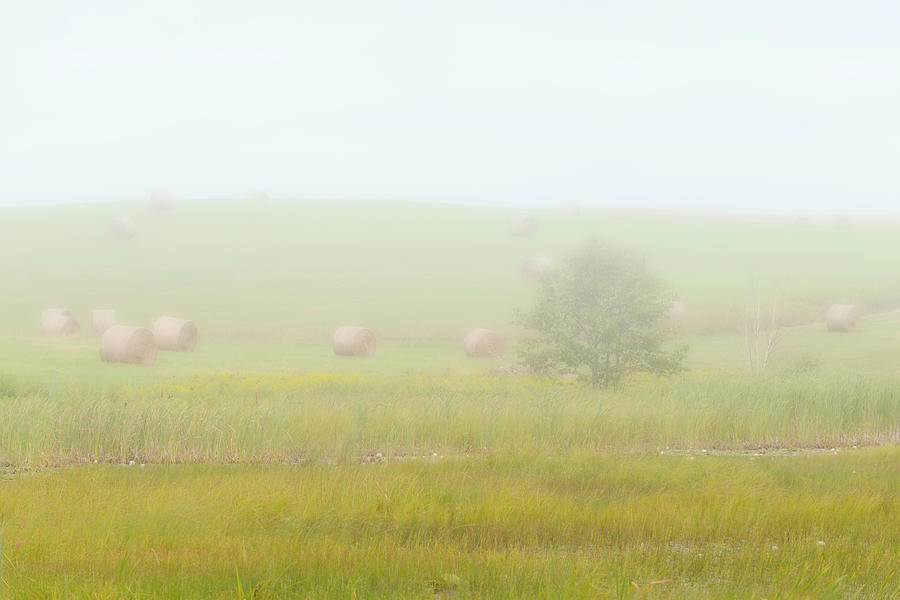 Landscape Photograph - Misty Meadow by Ben Thompson Landscape Photograph - Misty Meadow by Ben Thompson