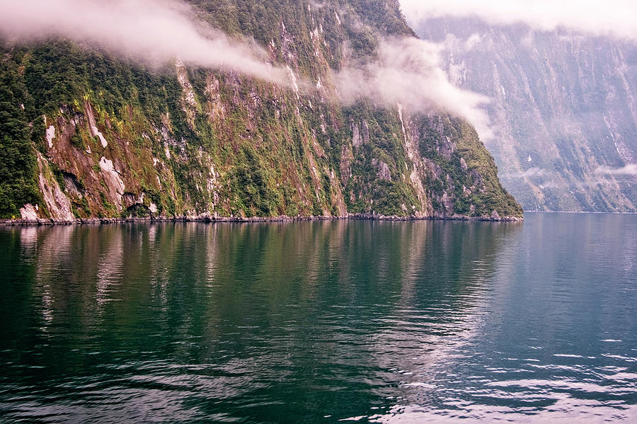 Misty Milford Sound Photograph by Catherine Reading