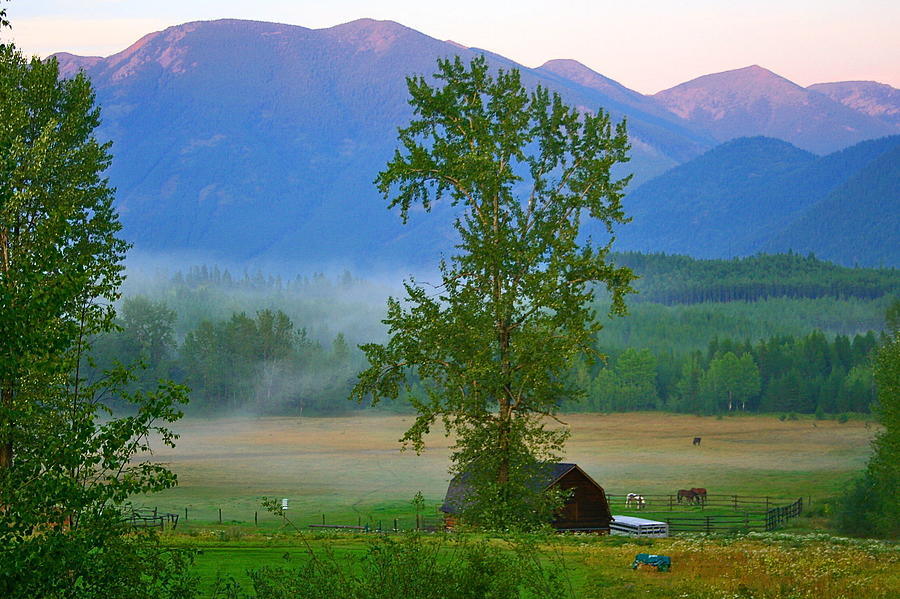 Misty Montana Evening Photograph by Patricia Haynes