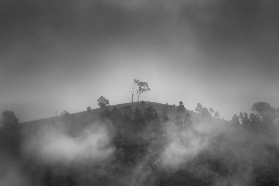 Nature Photograph - Misty Moods by Az Jackson