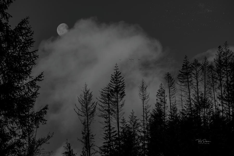 Misty Moon BW Photograph by Bill Posner