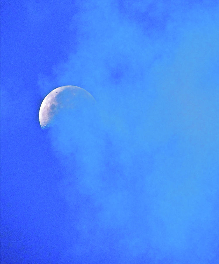 Misty Moon Photograph by Liz Vernand