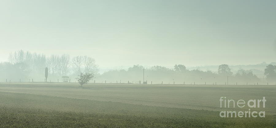 Misty morn Photograph by Howard Ferrier