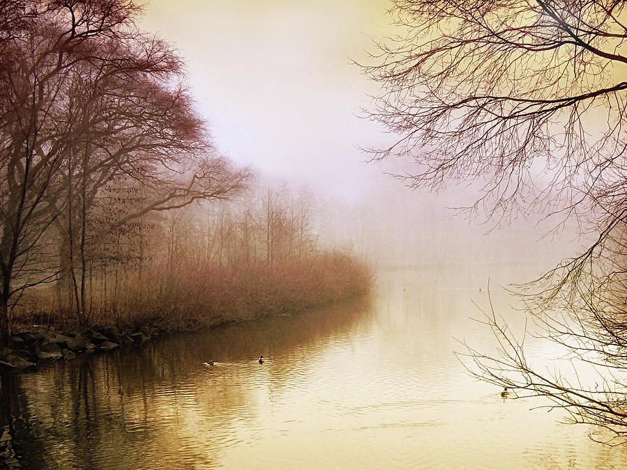 Misty Morn Photograph by Jessica Jenney